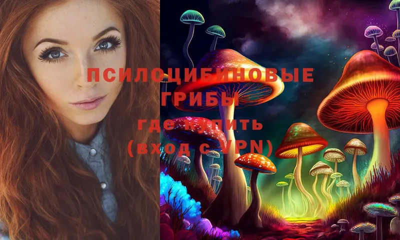 Псилоцибиновые грибы MAGIC MUSHROOMS  где найти   мориарти официальный сайт  Куйбышев 